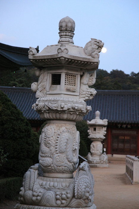 IMG_3148 (467x700, 333Kb)