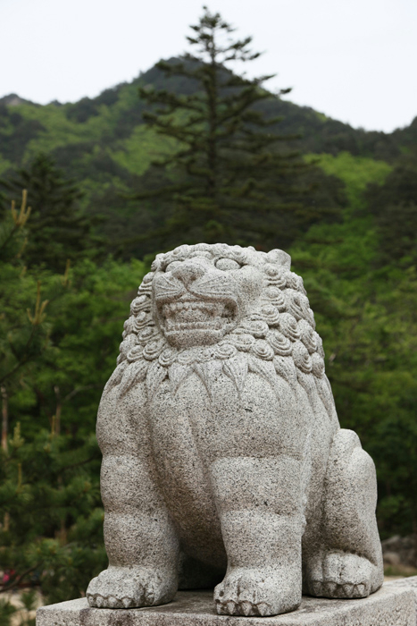 IMG_8884 (467x700, 333Kb)