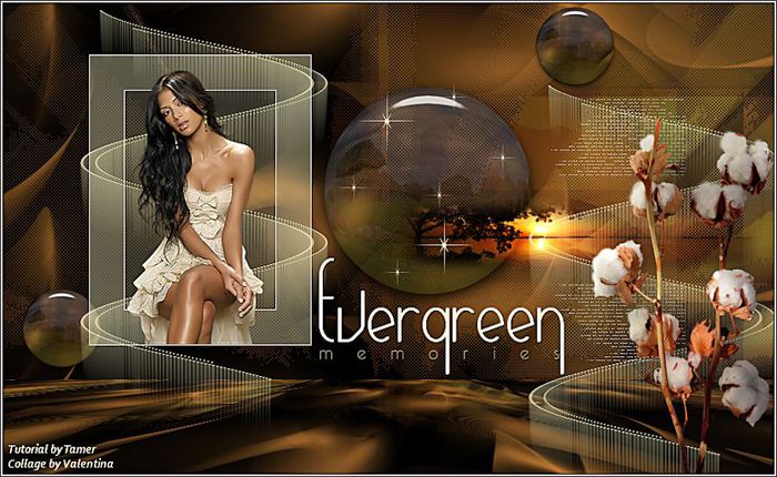 Evergreen (700x430, 76Kb)