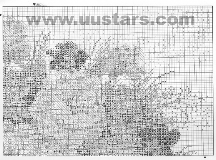 3a7128e5148c713b5021a9b5a58c579d (700x519, 305Kb)