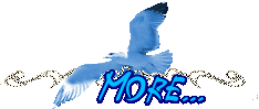OPRJIx8hj2iW (234x99, 5Kb)