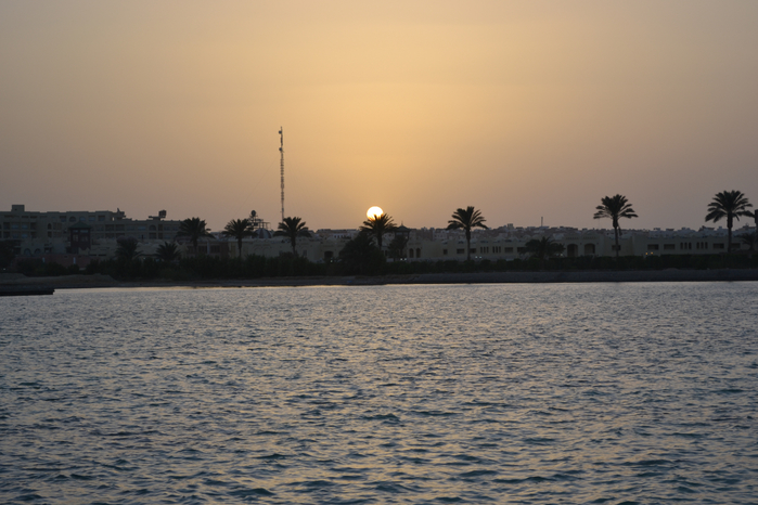 DSC_0012 (700x466, 350Kb)