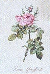 8ad9d562d16125b6f0c462d030833875 (163x238, 50Kb)