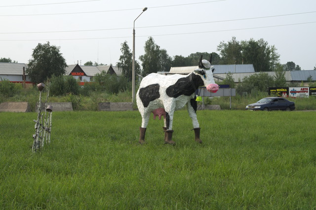 DSC03540 (640x426, 262Kb)