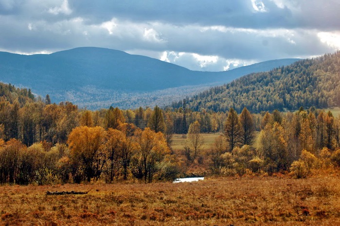 3392780_DSC_0410 (700x465, 129Kb)