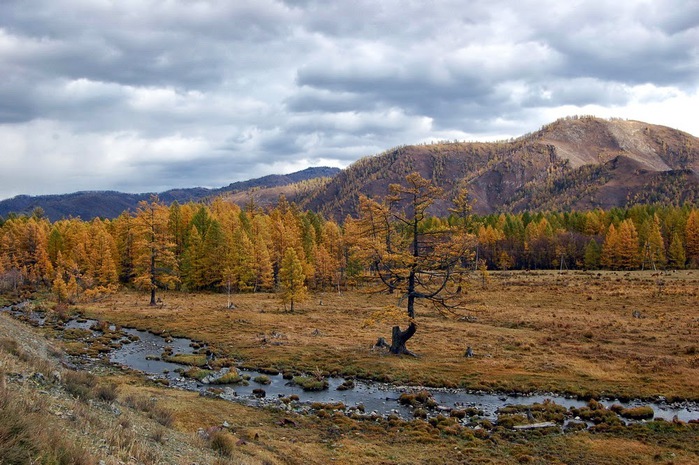 3392780_DSC_0575 (700x465, 141Kb)