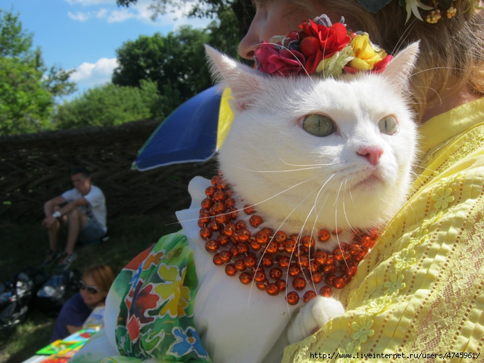 IMG_8049 - копия (700x525, 313Kb)