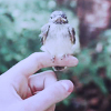 1436139338_tumblr_lxlkkgb3S11qbnhnso1_500 (100x100, 34Kb)