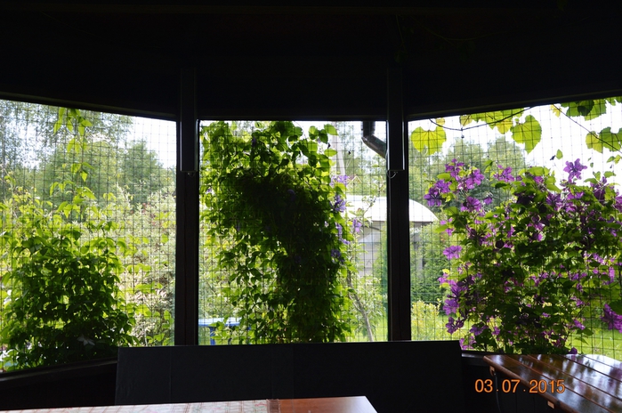 3587765_DSC_4324 (700x464, 283Kb)