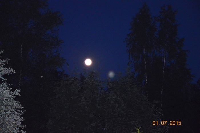 3587765_DSC_4309 (700x465, 211Kb)
