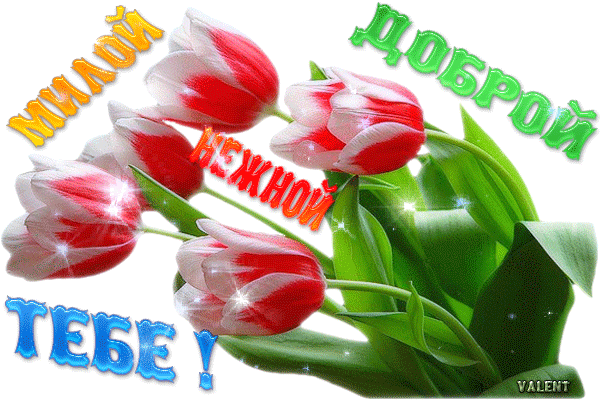 Гифки ты супер валечка моя, для