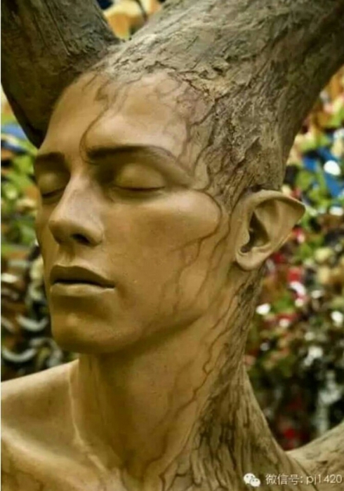 1494878_NatureSkukulpt_01 (490x700, 193Kb)