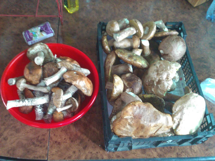 WP_001884 (2) (700x525, 138Kb)