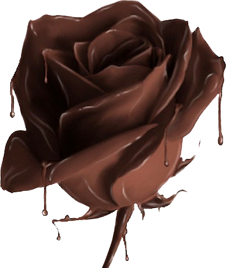 3233534_Chocolate_Rose (462x548, 384Kb)