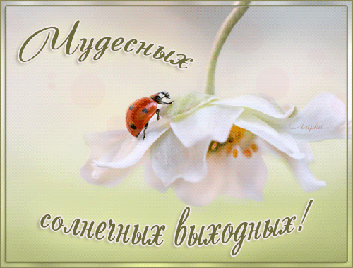 5574-l.kondratyeva_17-36 (1) (500x380, 602Kb)