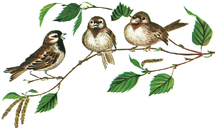 птички на дереве-аниме37 (438x260, 131Kb)