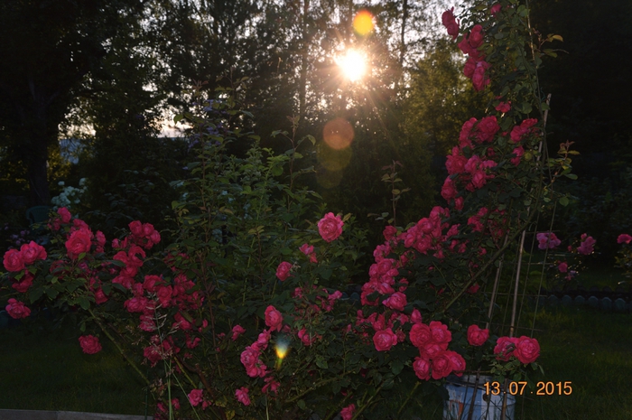 3587765_DSC_4584 (700x465, 273Kb)
