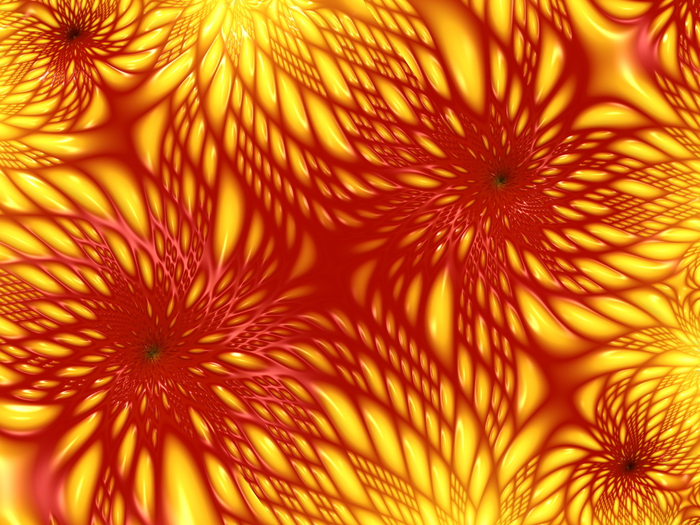 цветы_красивые_2 (700x525, 529Kb)