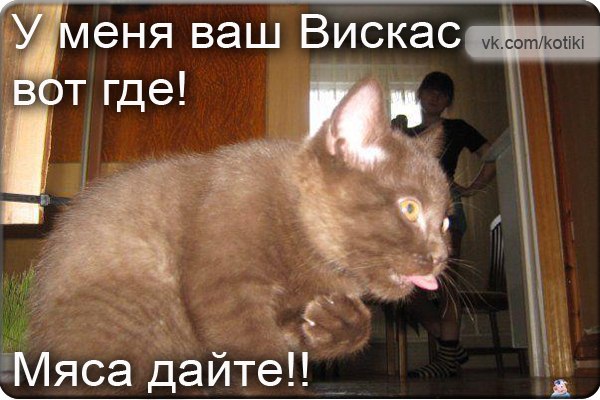 4432201_YZyIu5IIAAs (600x400, 60Kb)