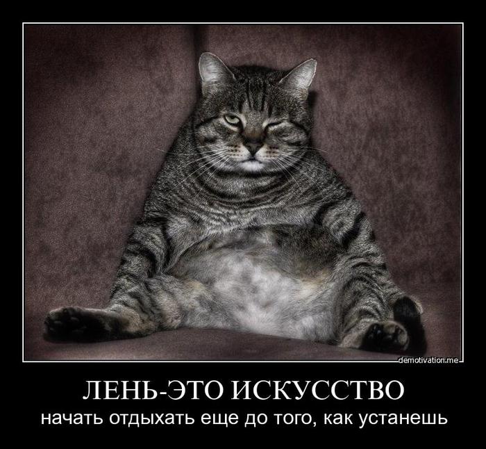 4432201_zakon0006 (700x646, 71Kb)