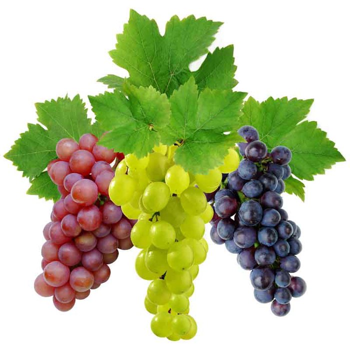 grape (700x700, 71Kb)