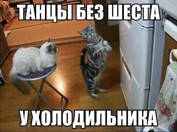 1436962580-954132-8957 (600x450, 220Kb)