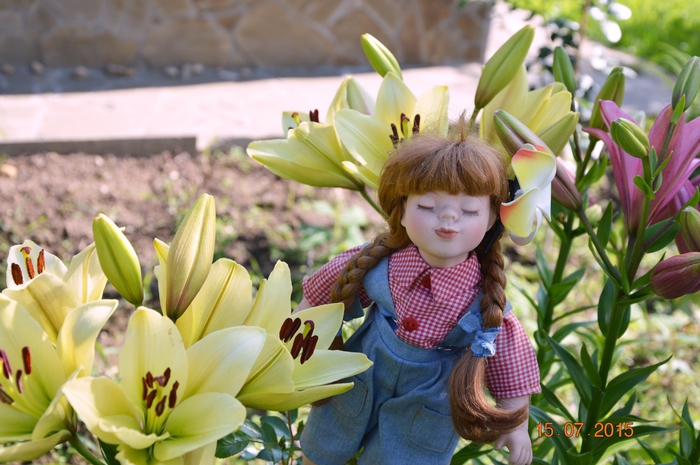 3587765_DSC_4592 (700x465, 264Kb)