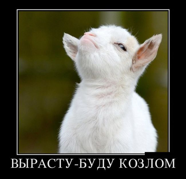 3391947_demotivatory_18 (650x628, 40Kb)