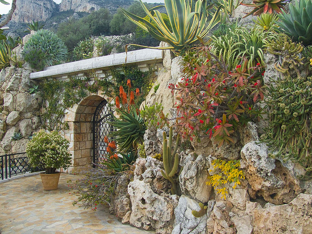 Jardin-Exotique-de-Monaco-Exotic-Gardens (640x480, 504Kb)