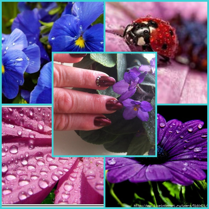 1437131658_collage (700x700, 310Kb)