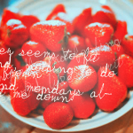1437170959_123674738_3470510_tumblr_mzlum5RkXe1riihfwo1_500 (150x150, 68Kb)