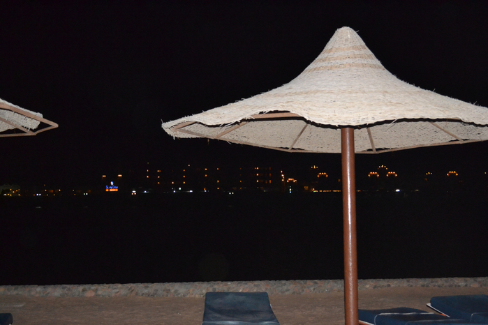 DSC_0233 (700x466, 312Kb)