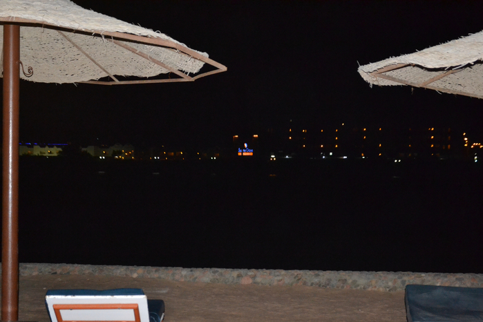 DSC_0236 (700x466, 316Kb)