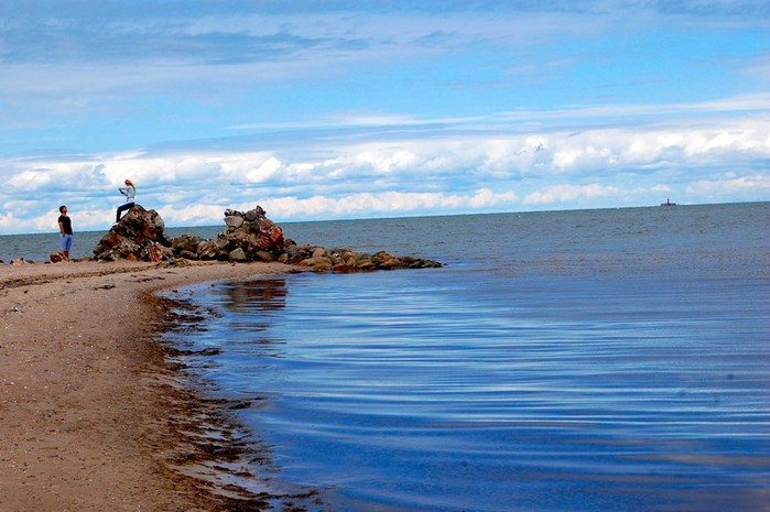 DSC_3206 (700x465, 81Kb)