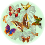  3851777jrt (300x300, 181Kb)