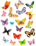  - (397x500, 337Kb)