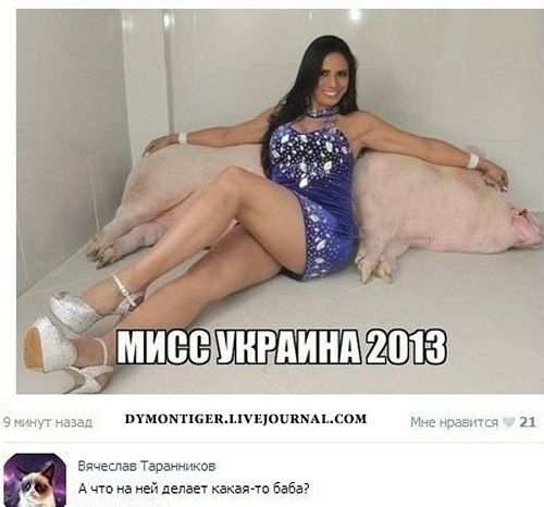miss (500x466, 36Kb)
