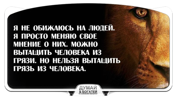 Говори свое мнение. Я не обижаюсь на людей. Оскорбить человека умными словами. Афоризмы про унижение. Люди которые обижаются.