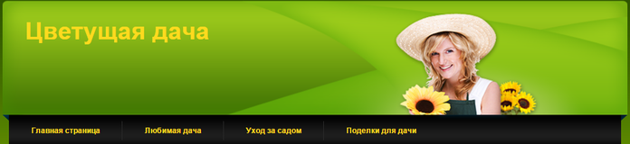  (700x160, 61Kb)