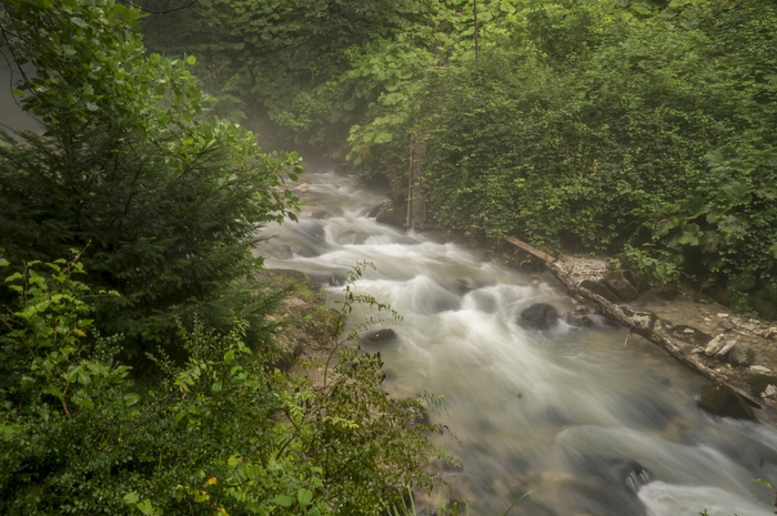 4213829__DSC0398 (700x465, 286Kb)