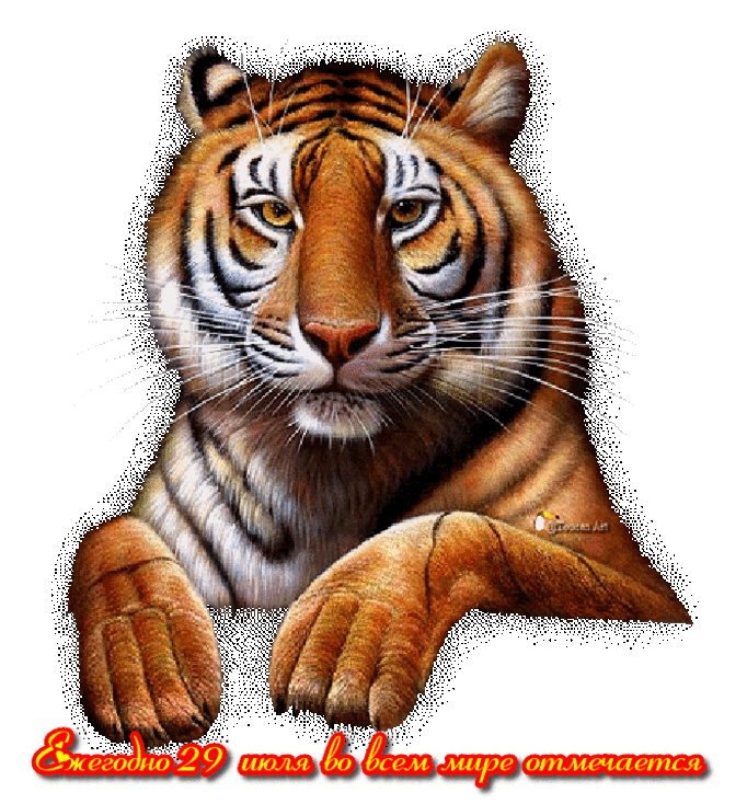 Jpg формат gif. Тигр анимация. Тигр гиф на прозрачном фоне. Анимация тигров. Тигрица анимация.