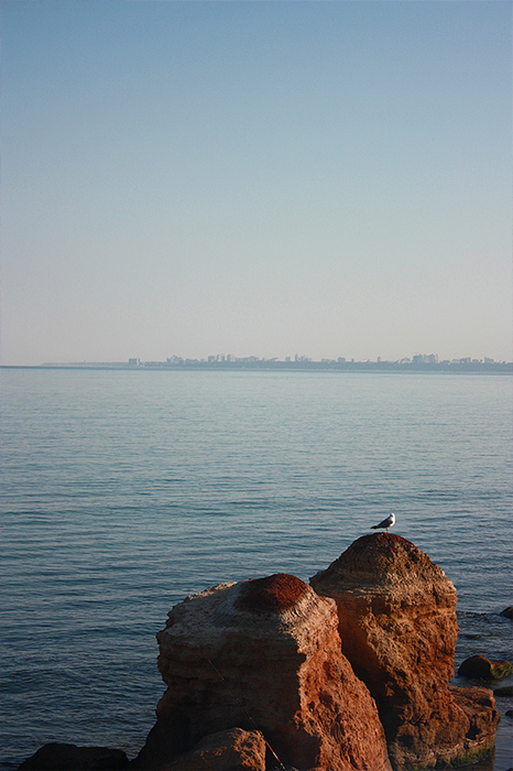4052195_IMG_28311 (466x700, 363Kb)