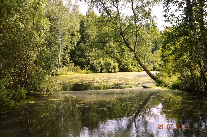 3587765_DSC_4698 (700x465, 360Kb)