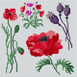  Poppies_flowers (676x676, 579Kb)