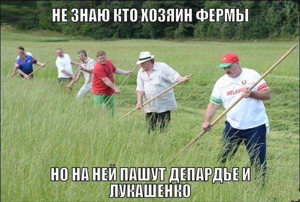 4213829_55b380521f395d12758b5272 (600x405, 90Kb)