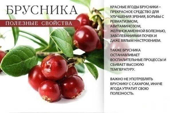 5427629_varwwwekimdatawwwbigvo_ruuploadsimg68fba3f0de0a79 (600x395, 71Kb)