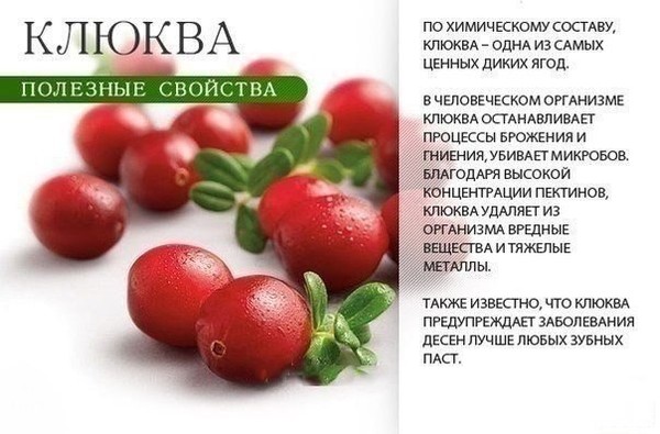 5427629_varwwwekimdatawwwbigvo_ruuploadsimg8d0957bd56c51d (600x395, 62Kb)