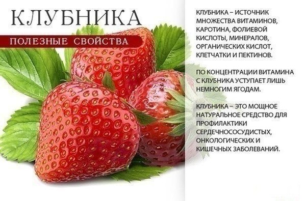 5427629_varwwwekimdatawwwbigvo_ruuploadsimgd82b79d89a3a56 (600x395, 82Kb)