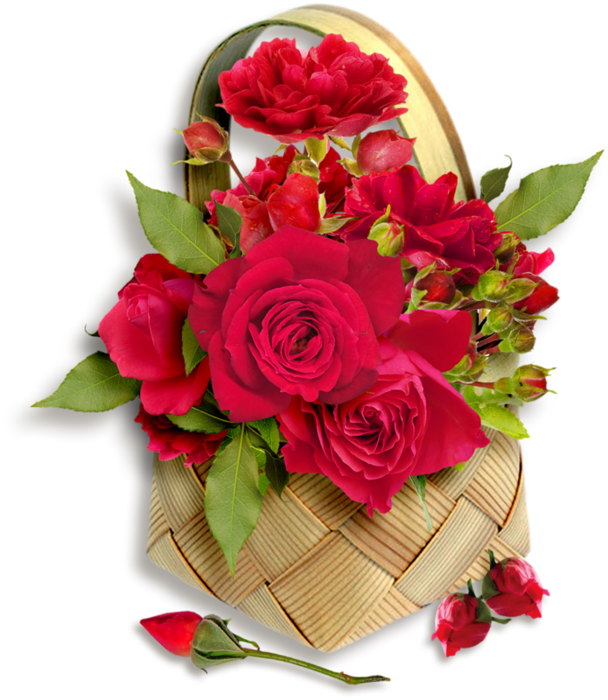 4d7228d64b26 (608x700, 527Kb)