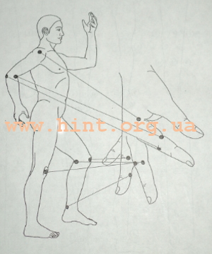 5745884_sy_djok_systavi_4 (300x359, 92Kb)